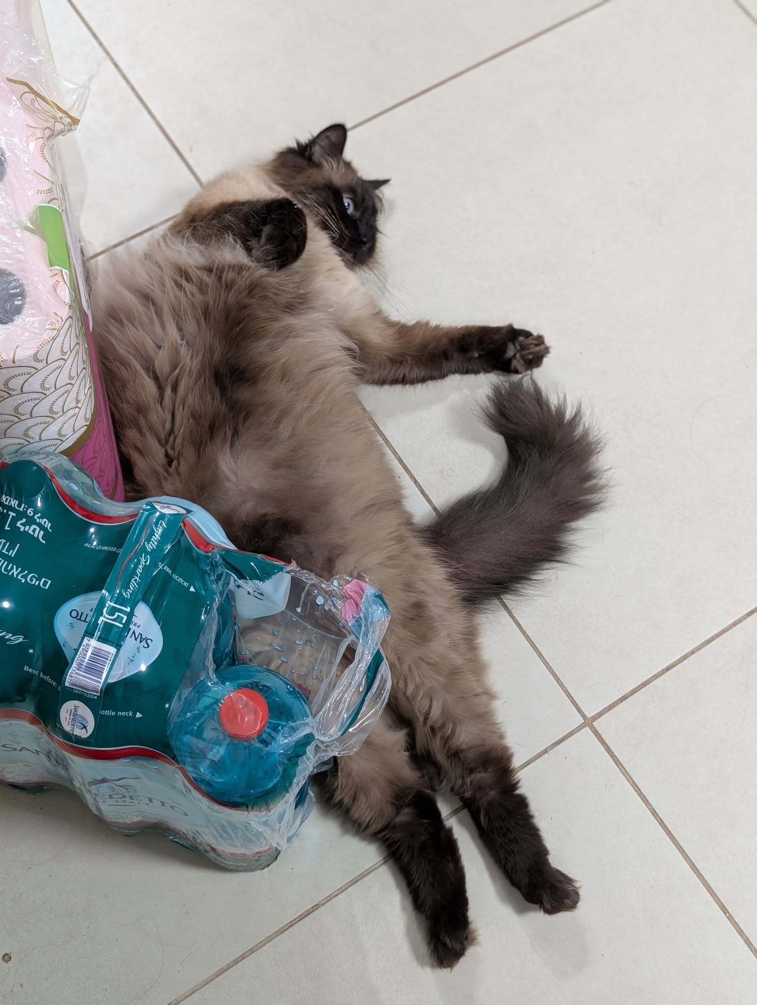 S yau ano SIN D'97Nn 1 2972 WIN 7 lightly: Sparkling Tuy 9:nND