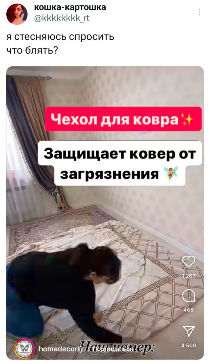 кошка-картошка @kkkkkkkk_rt я стесняюсь спросить что блять? Чехол для ковра Защищает ковер от загрязнения 1 267 468 homedecort aioHmbesmep: 4 500