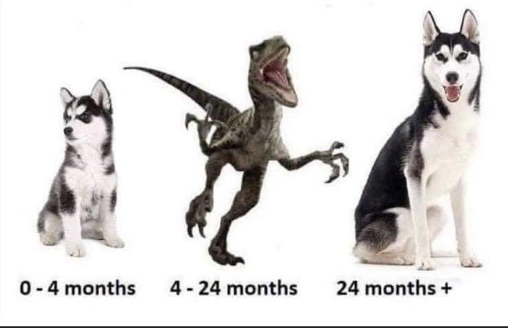 0 - 4 months 4 - 24 months 24 months +