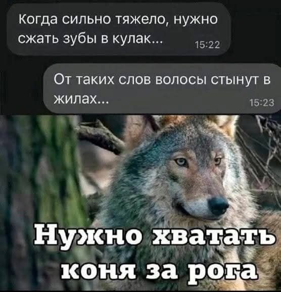 когда сильно тяжело, нужно сжать зубы в кулак... 15:22 От таких слов волосы стынут в жилах... 15:23 Нужно хватать коня за рога