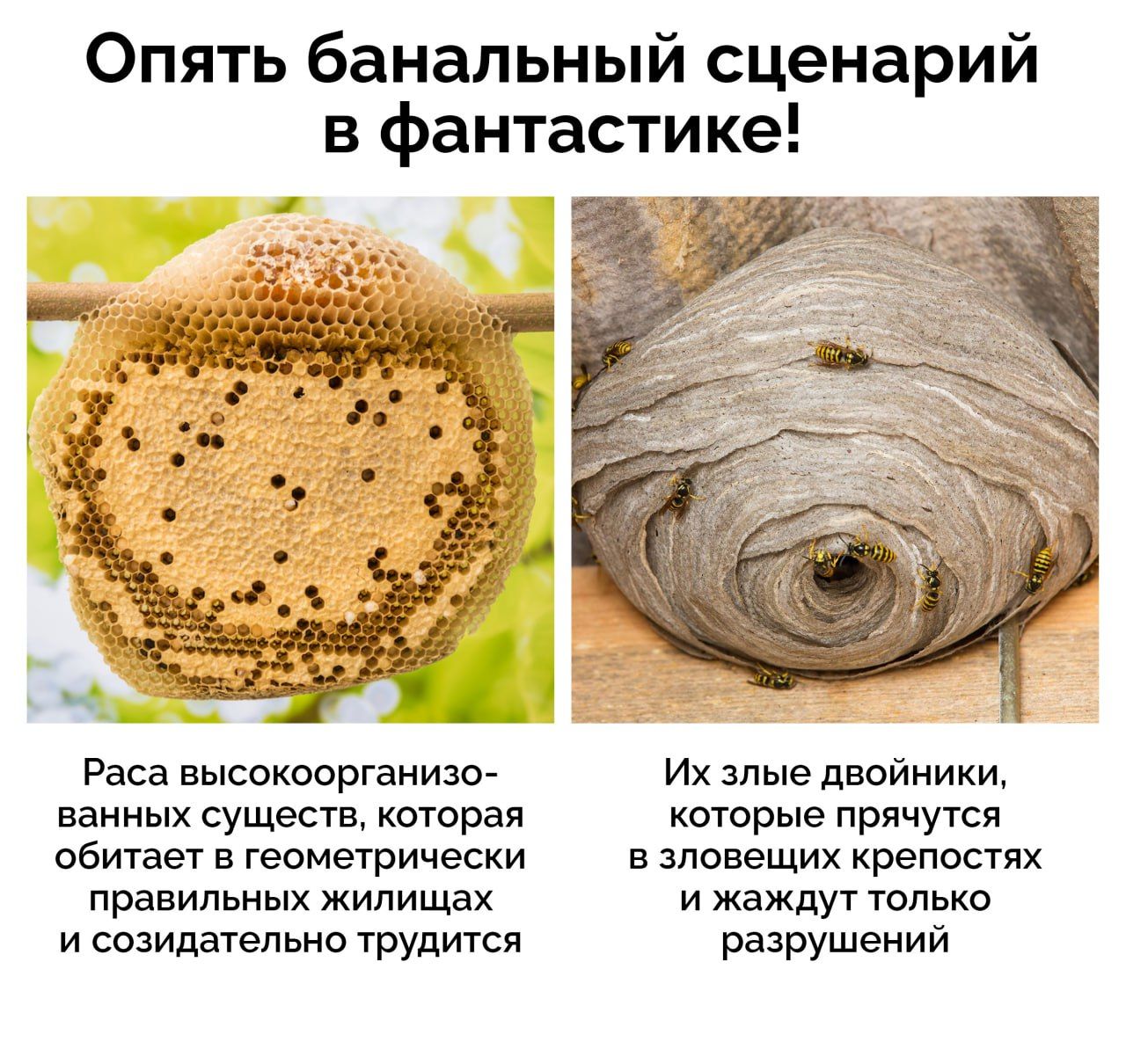 Опять банальный сценарий в фантастике! Раса высокоорганизо- ванных существ, которая обитает в геометрически правильных жилищах и созидательно трудится Их злые двойники, которые прячутся в зловещих крепостях и жаждут только разрушений