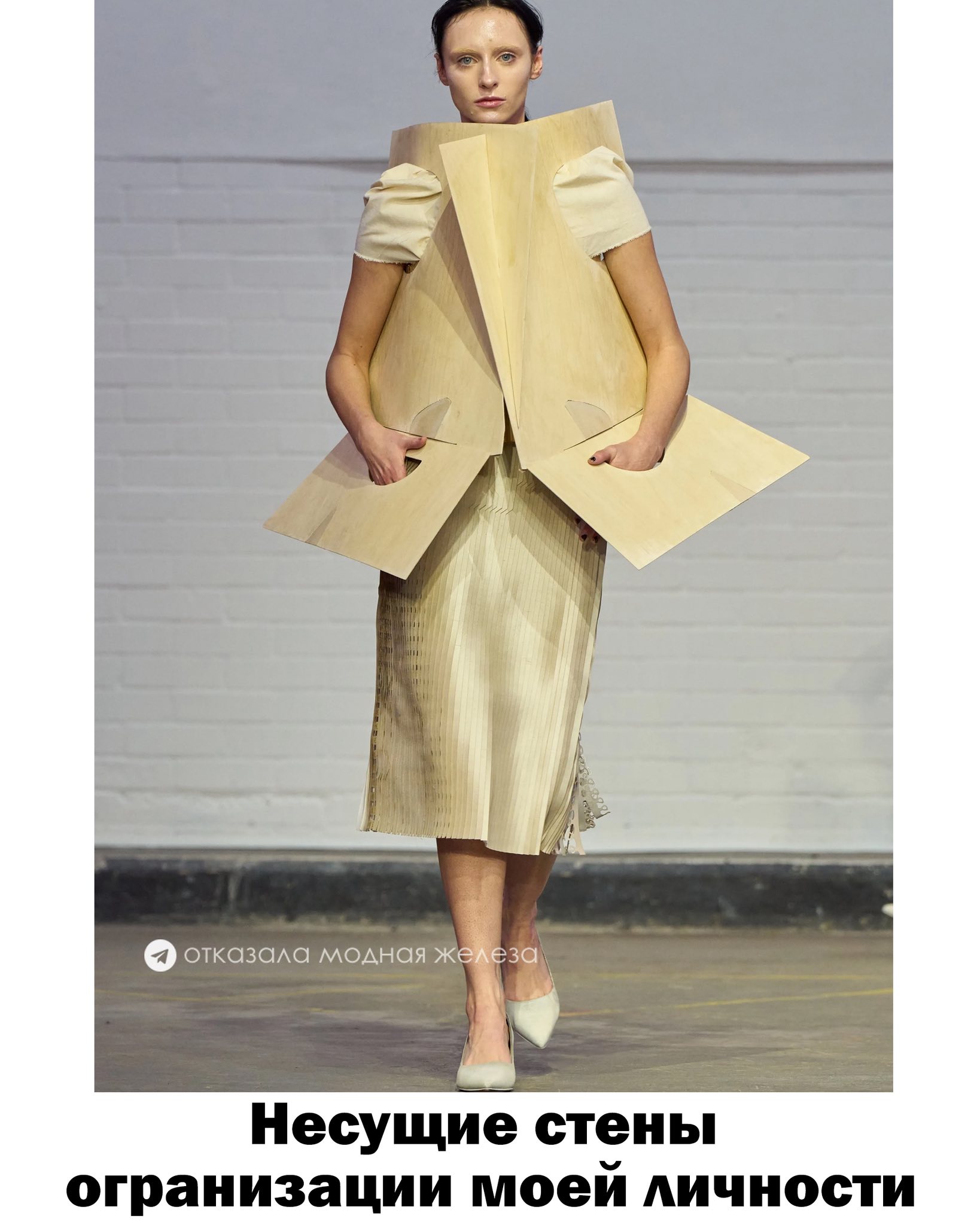 отказала модная железа Несущие стены огранизации моей личности