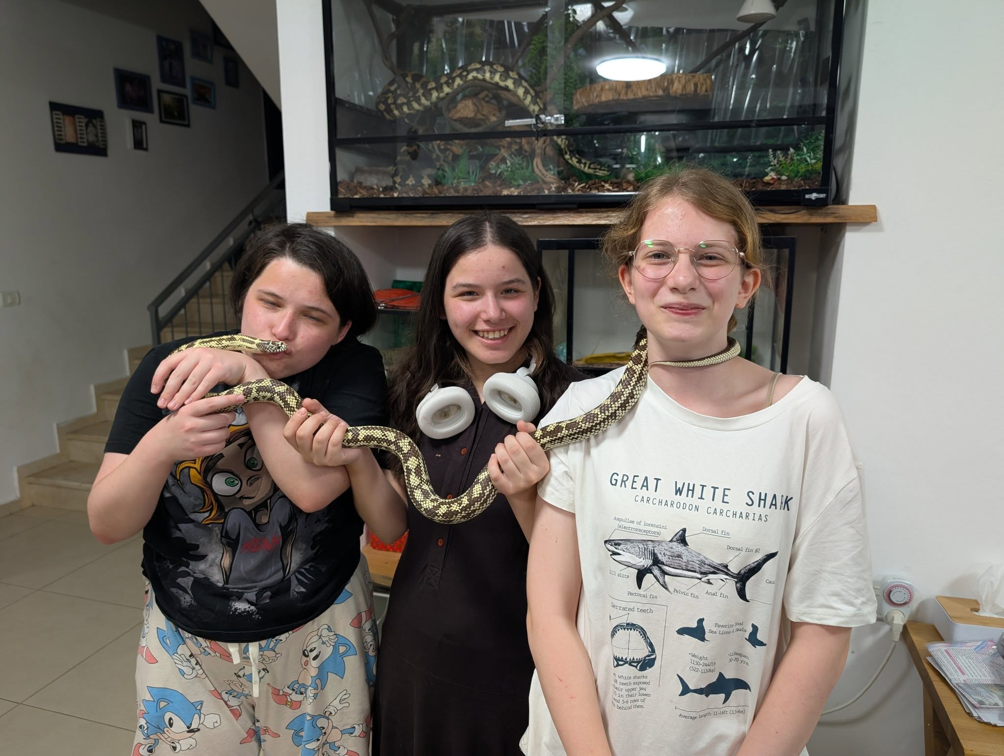 GREAT WHITE SHAIK CARCHARODON CARCHARIAS Ampullae of lorenzini (electroreceptors) 401 slits Pelvic fin Anal fin Pectoral fin Serrated teeth Favories Pod *Weight 1150-246725 (522-1110K)) 30-70 ук Average lesh 11-16ft (33-6m)