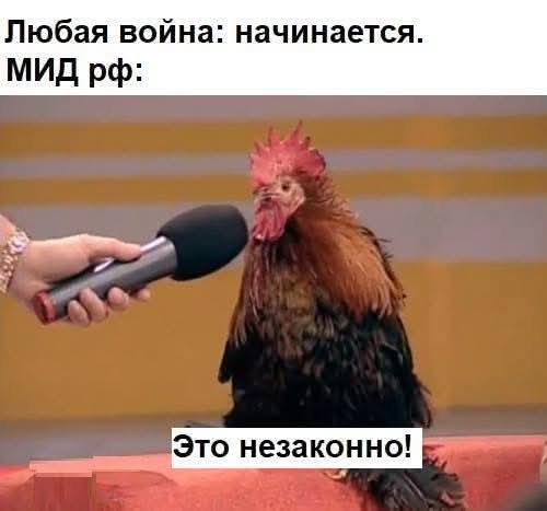 Любая война: начинается. МИД рф: Это незаконно!