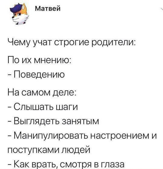 Матвей Чему учат строгие родители: По их мнению: - Поведению На самом деле: - Слышать шаги - Выглядеть занятым - Манипулировать настроением и поступками людей - Как врать, смотря в глаза