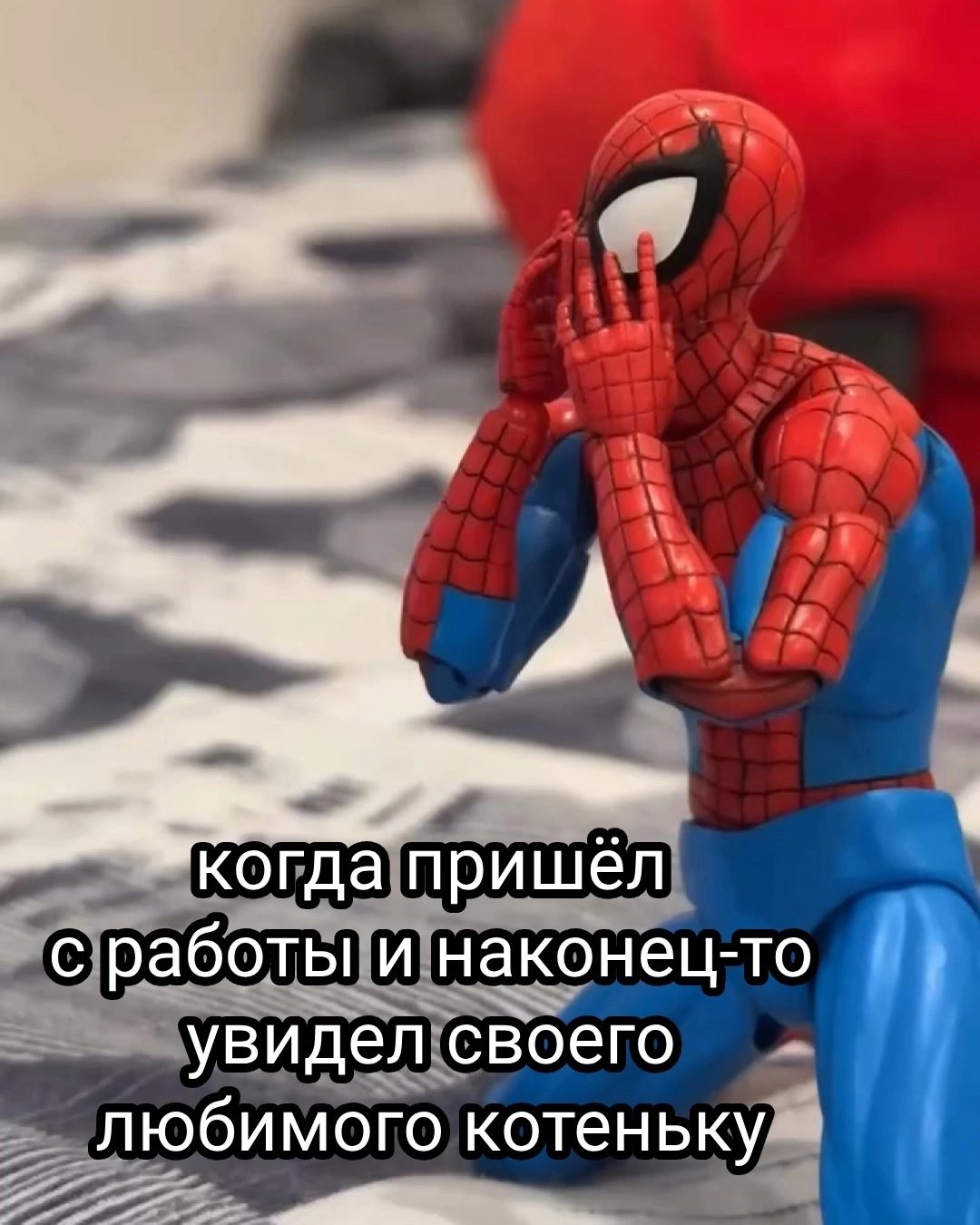 когда пришёл с работы и наконец-то увидел своего любимого котеньку