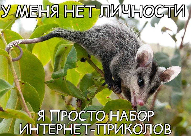 У МЕНЯ НЕТ ЛИЧНОСТИ кри Я ПРОСТО НАБОР ИНТЕРНЕТ-ПРИКОЛОВ