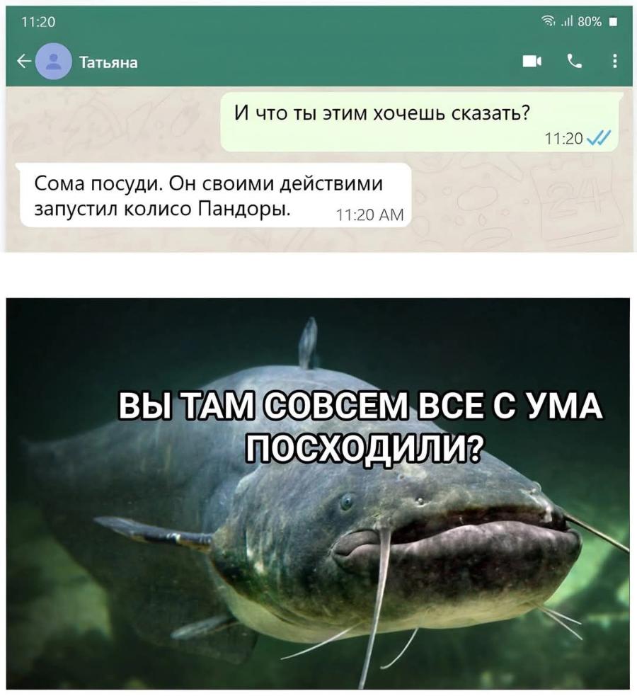 11:20 all 80% &bull; Татьяна И что ты этим хочешь сказать? 11:20 &bull; Сома посуди. Он своими действими запустил колисо Пандоры. 11:20 AM ВЫ ТАМ СОВСЕМ ВСЕ С УМА ПОСХОДИЛИ?
