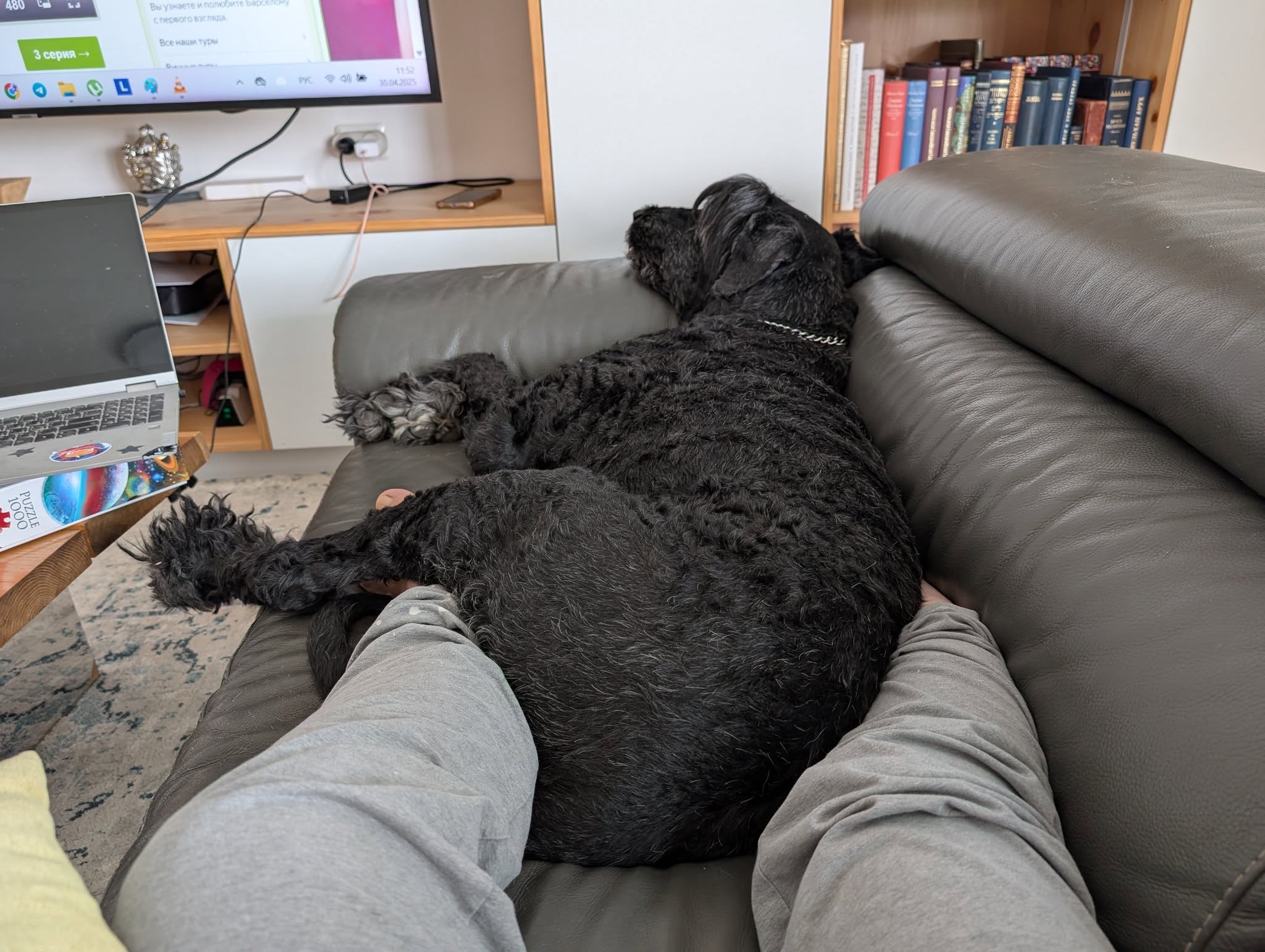 480 Вы узнаете и полорите вом с первого взгляда 3 серия - PUZZLE 1000