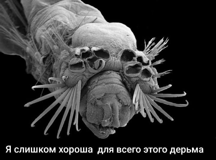 Я слишком хороша для всего этого дерьма