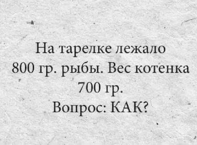 На тарелке лежало 800 гр. рыбы. Вес котенка 700 гр. Вопрос: КАК?