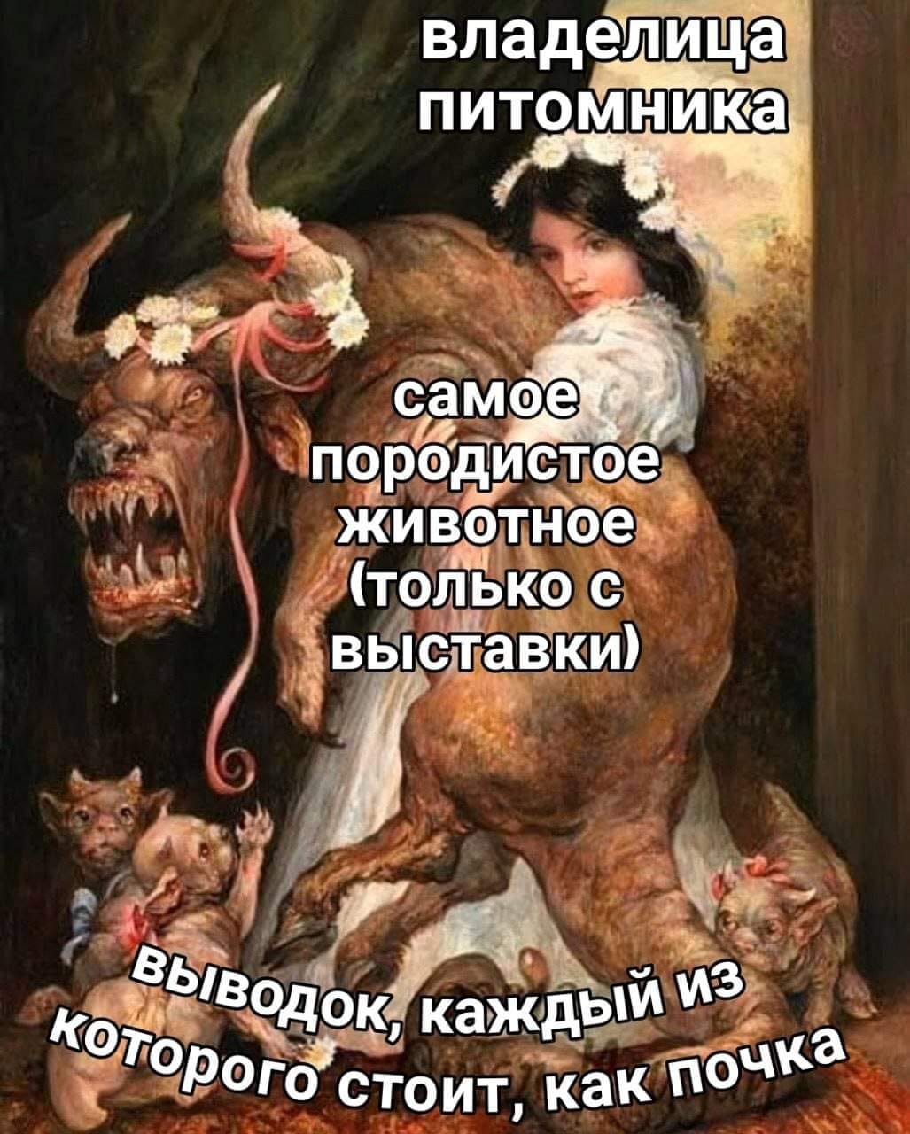 владелица питомника самое породистое животное (только с выставки выводок, каждый из которого стоит, как почка