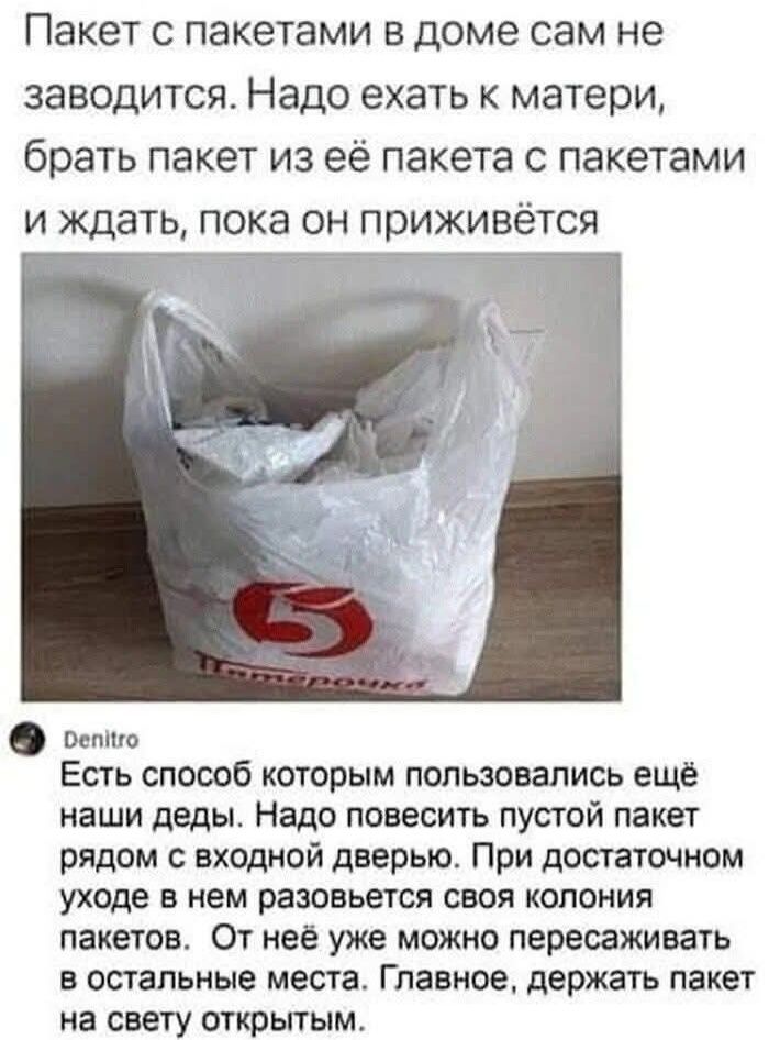 Пакет с пакетами в доме сам не заводится. Надо ехать к матери, брать пакет из её пакета с пакетами и ждать, пока он приживётся 5 Котировки Denitro Есть способ которым пользовались ещё наши деды. Надо повесить пустой пакет рядом с входной дверью. При достаточном уходе в нем разовьется своя колония пакетов. От неё уже можно пересаживать в остальные места. Главное, держать пакет на свету открытым.