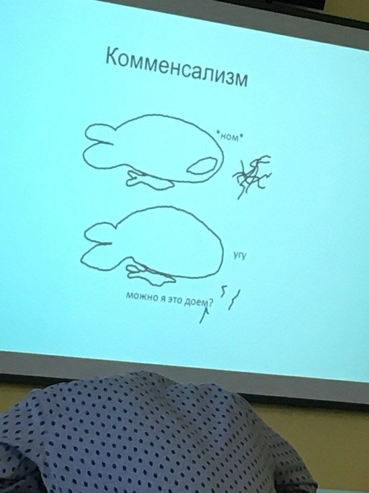 Комменсализм *ном* vry