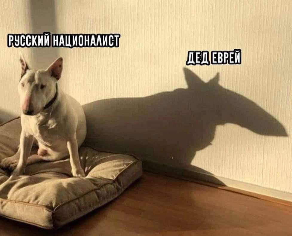 РУССКИЙ НАЦИОНАЛИСТ ДЕД ЕВРЕЙ