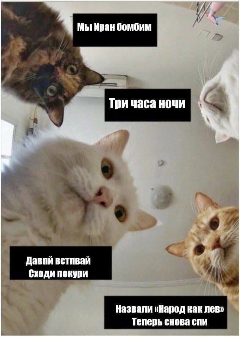 Мы Иран бомбим Три часа ночи Давпй встпвай Сходи покури Назвали &laquo;Народ как лев&raquo; Теперь снова спи
