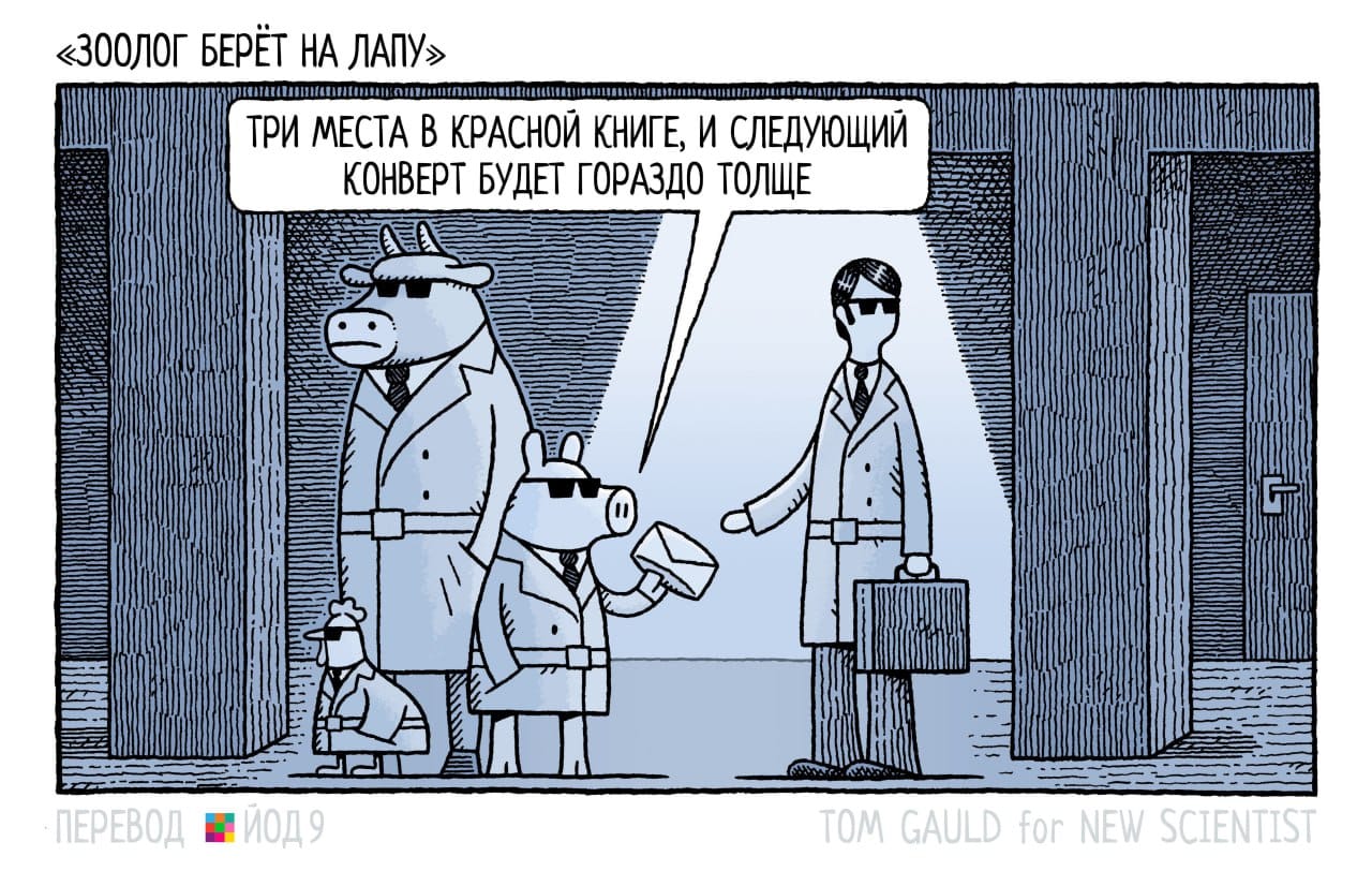 &laquo;ЗООЛОГ БЕРЁТ НА ЛАПУ&raquo; ТРИ МЕСТА В КРАСНОЙ КНИГЕ, И СЛЕДУЮЩИЙ КОНВЕРТ БУДЕТ ГОРАЗДО ТОЛЩЕ -ПЕРЕВОД ИОД 9 TOM GAULD for NEW SCIENTIST