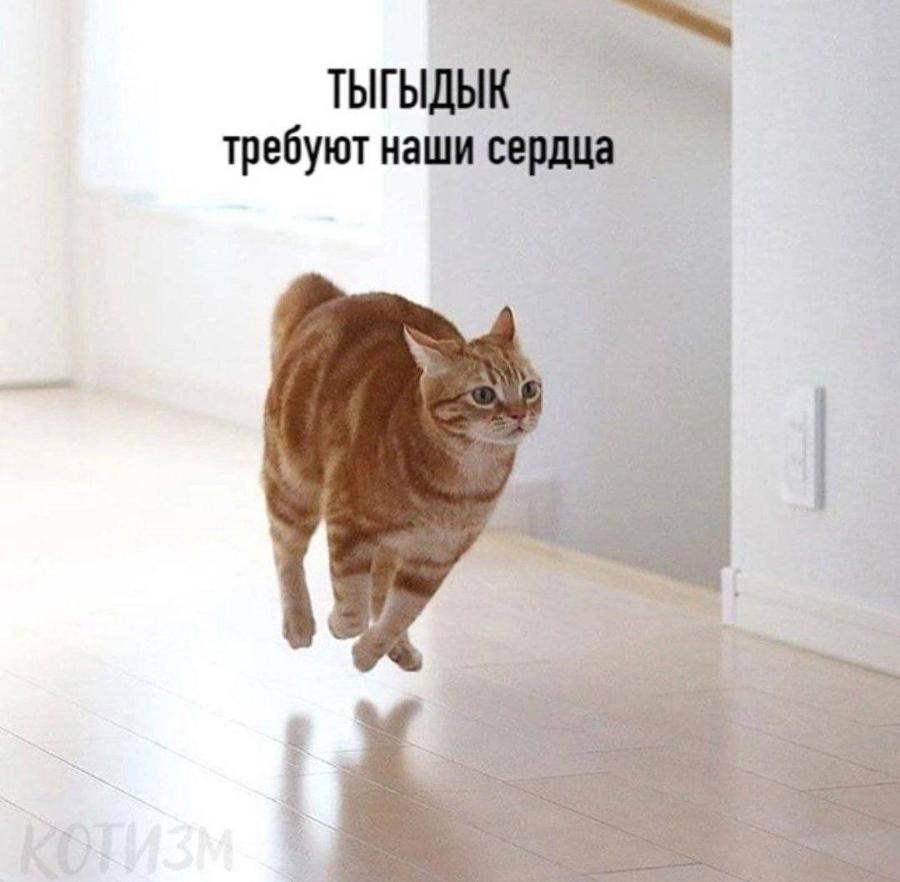 ТЫГЫДЫК требуют наши сердца ОТИЗМ