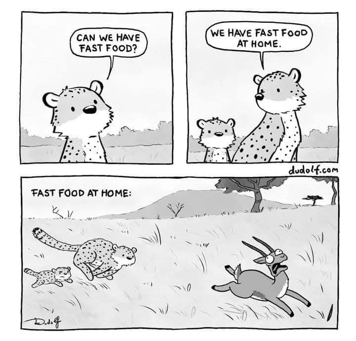 CAN WE HAVE FAST FOOD? WE HAVE FAST FOOD AT HOME. dudolf.com FAST FOOD AT HOME: