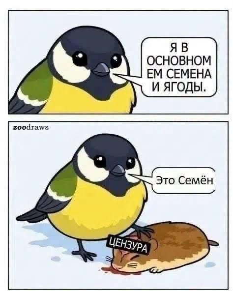 Я В ОСНОВНОМ ЕМ СЕМЕНА и ягОДы. zoodraws Это Семён ЦЕНЗУРА