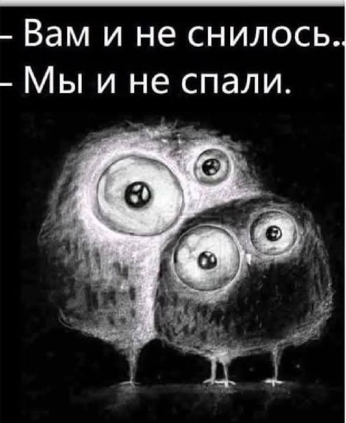 - Вам и не снилось.. - Мы и не спали.