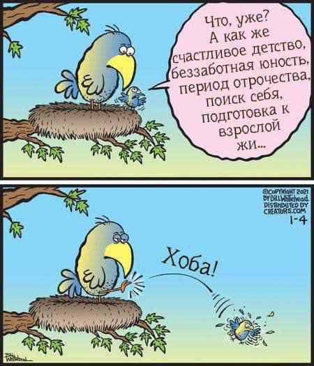 Что, уже? А как же счастливое детство, беззаботная юность. период отрочества, поиск себя, подготовка к взрослой ЖИ•• DISTRIDUTED DY CREATORS.COM - 4 ХоБа!