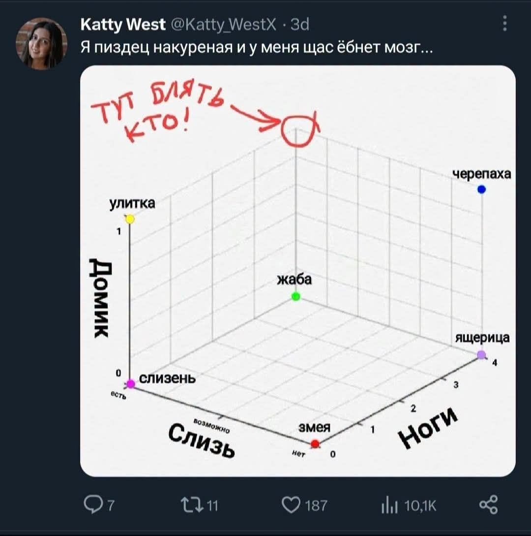 Katty West @Katty_WestX &bull; 3d Я пиздец накуреная и у меня щас ёбнет мозг... ТУТ БЛЯТЬ. КТО! черепаха улитка Домик жаба ящерица 0 есть слизень возможно Слизь змея нет 1 2 Ноги 7 17 11 &bull; 187 i|l 10,1K
