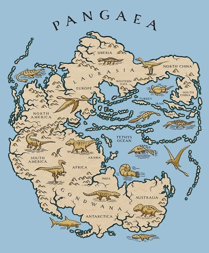 ANGAE SIBERIA A NORTH CHINA WESTERN ASIA EUROPE SOUTH NORTH A MERICA TETHYS OCEAN SOUTH AMERICA AFRICA INDIA AUSTRALIA WAN ANTARCTICA