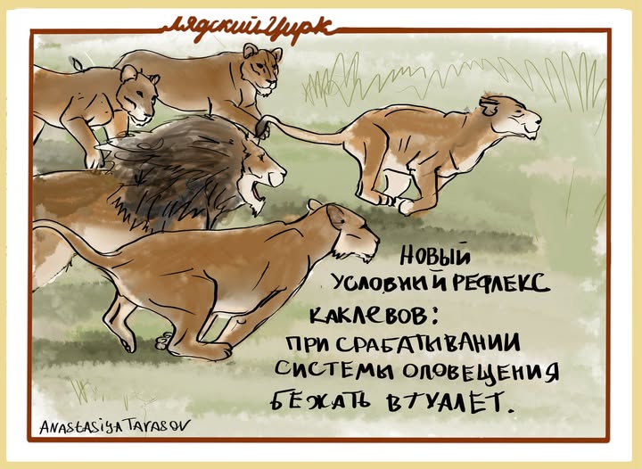 лядский Цирк Новый УСЛОВИИ И РЕФЛЕКС КАКЛевоВ: ПРИ СРАБАТЫВАНИИ СИСТЕМЫ ОЛОВЕЩЕНИЯ БЕЖАТЬ ВТУАЛЕТ. ANAStASiYA TArASOV