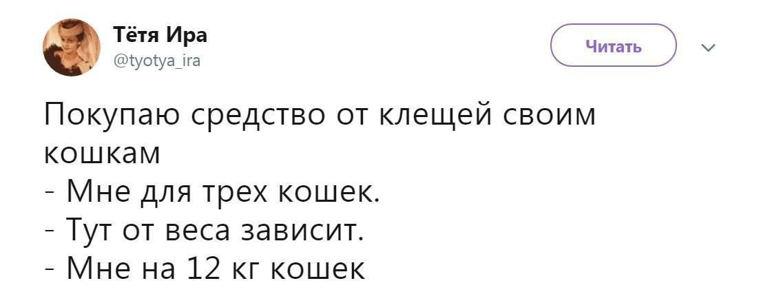 Тётя Ира @tyotya_ira Покупаю средство от клещей своим кошкам - Мне для трех кошек. - Тут от веса зависит. - Мне на 12 кг кошек Читать