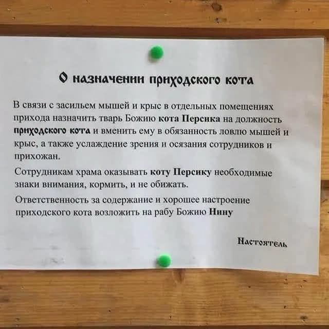 &bull; назначении приходского кота В связи с засильем мышей и крыс в отдельных помещениях прихода назначить тварь Божию кота Персика на должность приходского кота и вменить ему в обязанность ловлю мышей и крыс, а также услаждение зрения и осязания сотрудников и прихожан. Сотрудникам храма оказывать коту Персику необходимые знаки внимания, кормить, и не обижать. Ответственность за содержание и хорошее настроение приходского кота возложить на рабу Божию Нину Настонтель