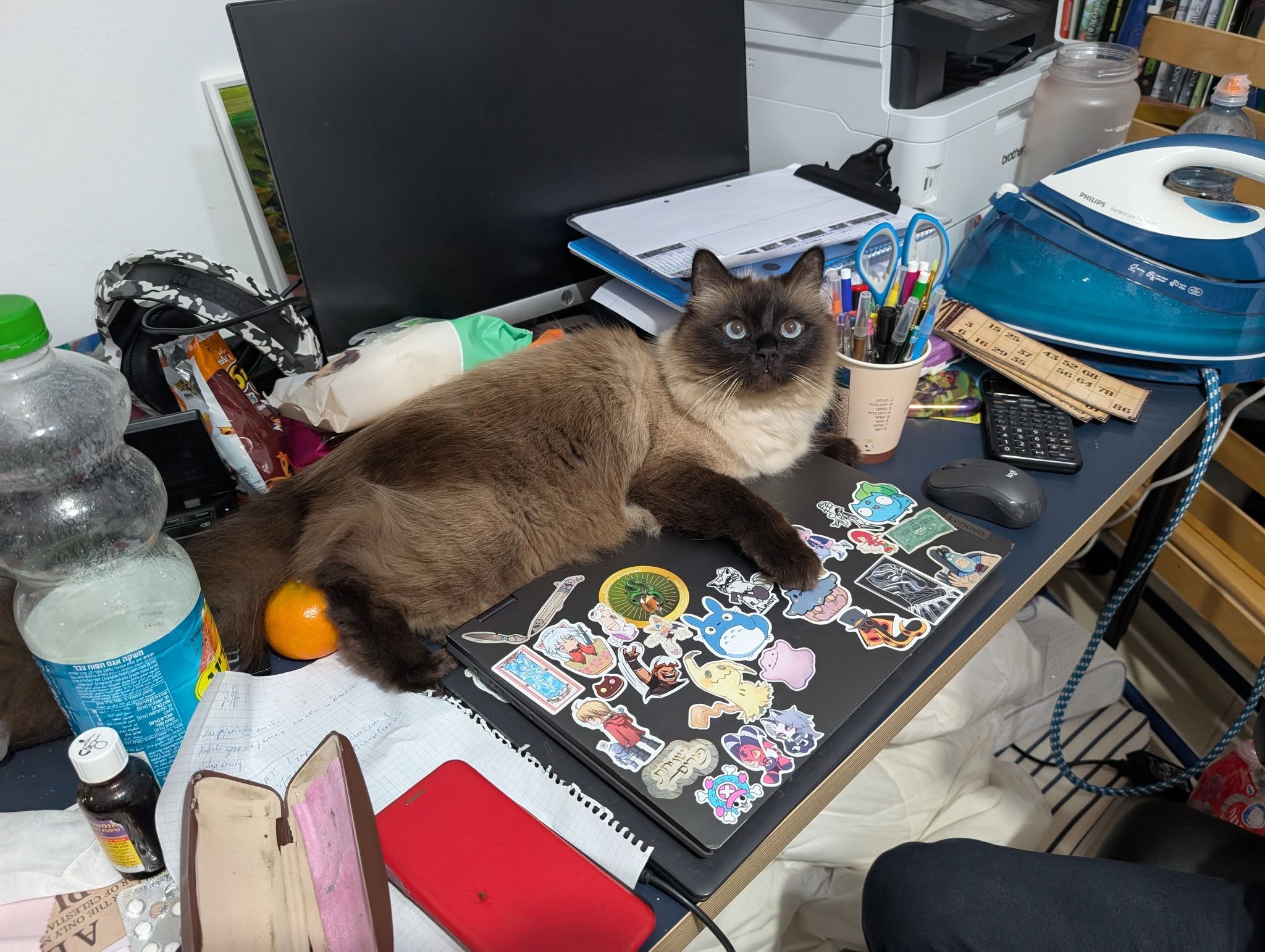 & THE ONLY do 2 CELESTIA Намети краємокр си PHILIPS