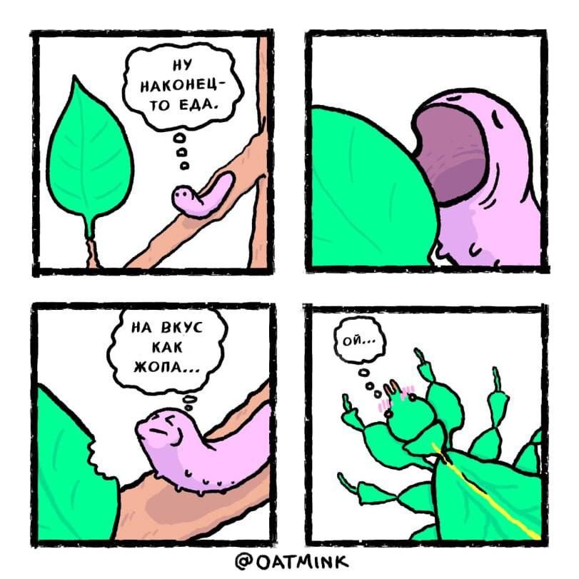 НАКОНЕЦ- ТО ЕДА. НА ВКУС КАК ЖОПА... ой.. @OATMINK