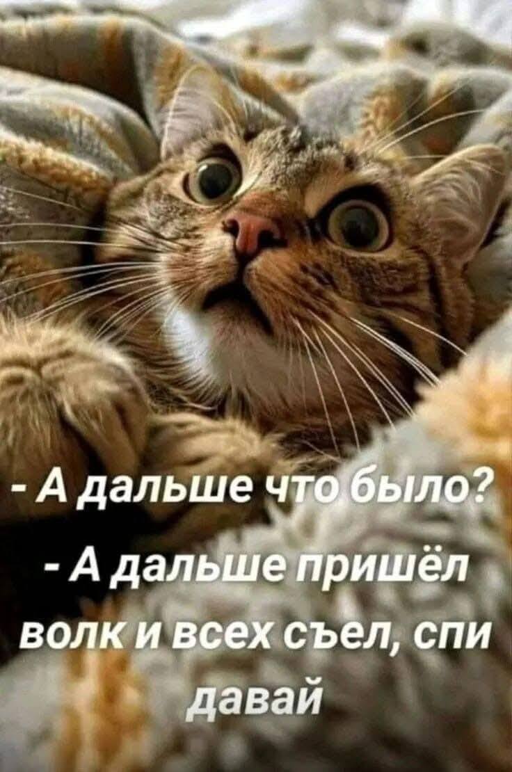 - А дальше что было? - А дальше пришёл волк и всех съел, спи давай