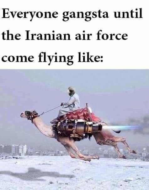 Everyone gangsta until the Iranian air force come flying like: