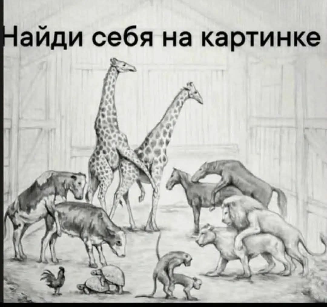Найди себя на картинке