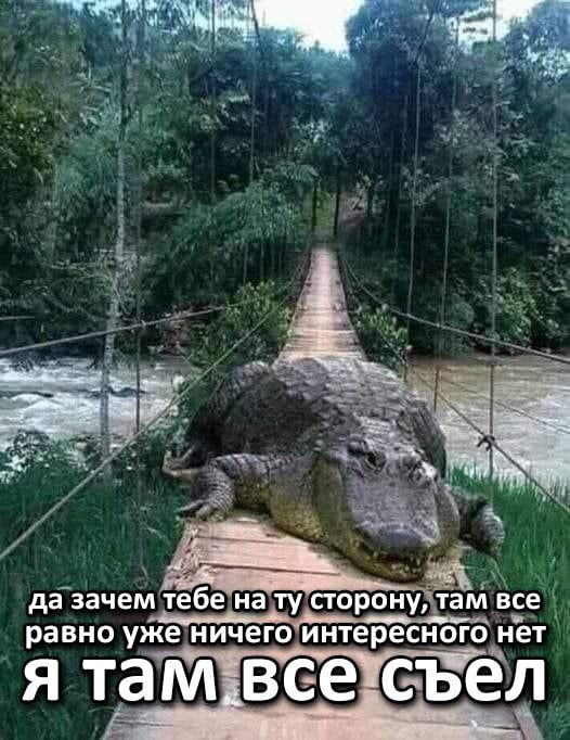 да зачем тебе на ту сторону, там все равно уже ничего интересного нет я там все съел