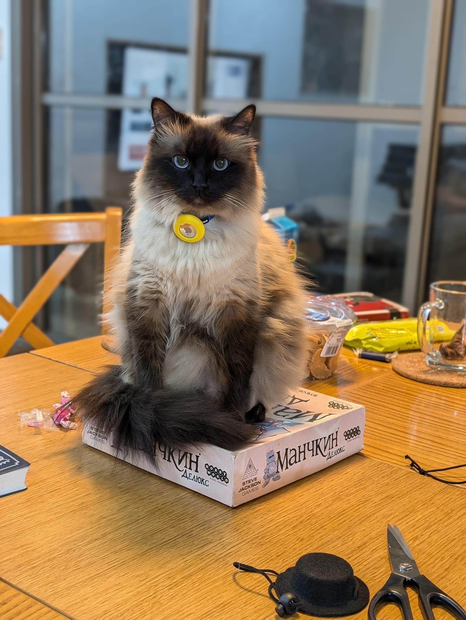 AAALS 8820 WH 9006 "ДЕЛюКа STEVE JACKSON GAMES