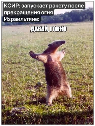 КСИР: запускает ракету после прекращения огня Израильтяне: ДАВАЙ, ГОВНО