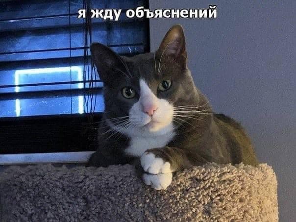 я жду объяснений