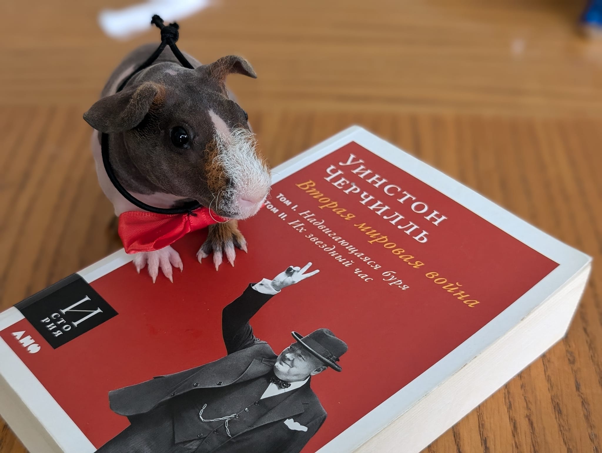 Уинстон ЧЕРЧИЛЛЬ Вторая мировая война том 1. Надвигающаяся буря том 1. Их звездный час СтО РИЯ