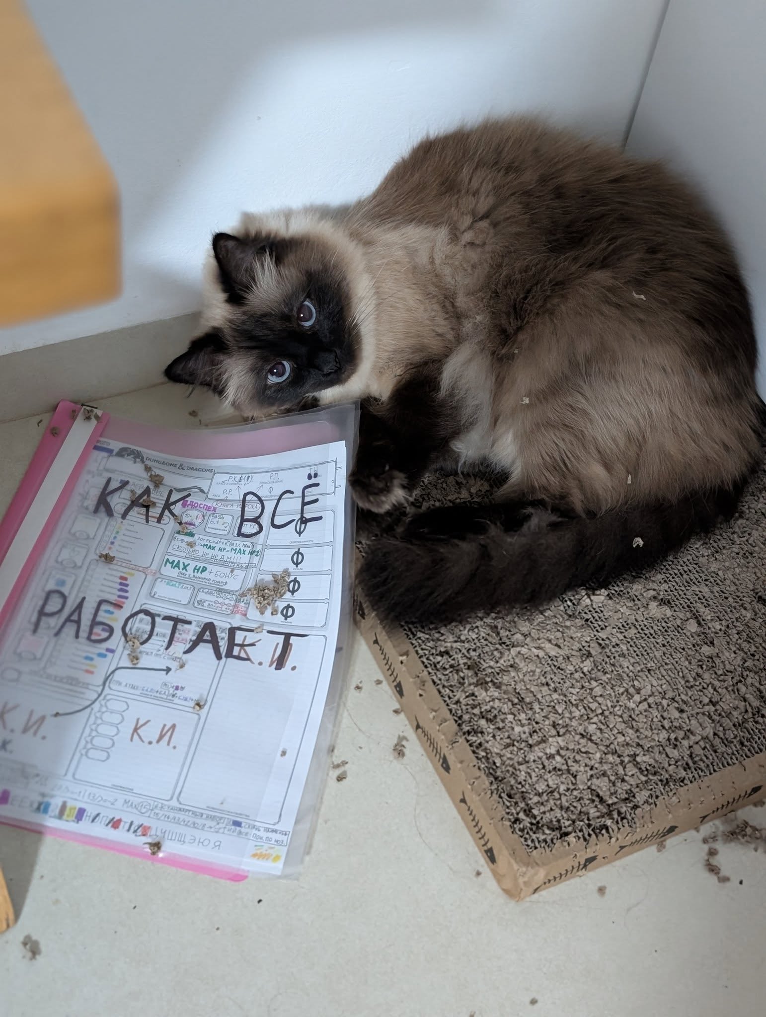 DUNGEONE & DRAGONS) КАК CE (P-AX HP-MAX Hе2) МАХ НР+ БОНУС РАБОТАКТ. К.п. К.п. 2 MAXIS- св: Пок, по ноз.