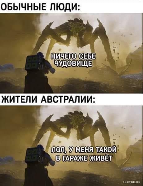 ОБЫЧНЫЕ ЛЮДИ: НИЧЕГО СЕБЕ ЧУДОВИЩЕ ЖИТЕЛИ АВСТРАЛИИ: ЛОЛ, У МЕНЯ ТАКОЙ В ГАРАЖЕ ЖИВЁТ