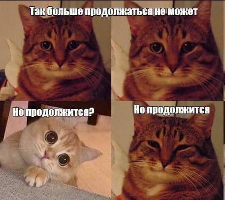 Так больше продолжаться не может Но продолжится? Но продолжится