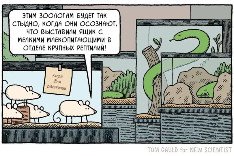 ЭТИМ ЗООЛОГАМ БУДЕТ ТАК СТЫДНО, КОГДА ОНИ ОСОЗНАЮТ, ЧТО ВЫСТАВИЛИ ЯЩИК С МЕЛКИМИ МЛЕКОПИТАЮЩИМИ В ОТДЕЛЕ КРУПНЫХ РЕПТИЛИЙ! корм для рептилий TOM GAULD for NEW SCIENTIST