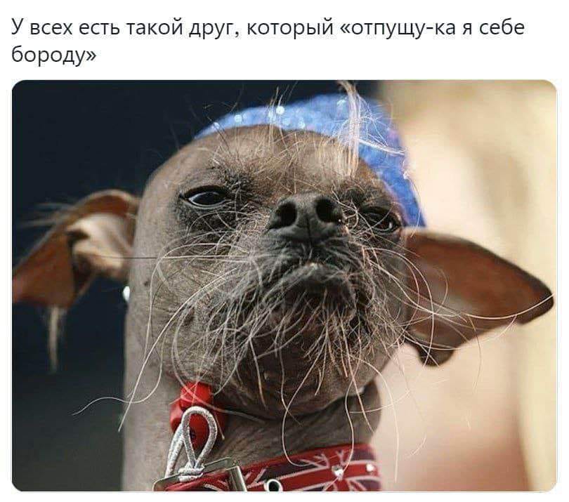 У всех есть такой друг, который &laquo;отпущу-ка я себе бороду&raquo;