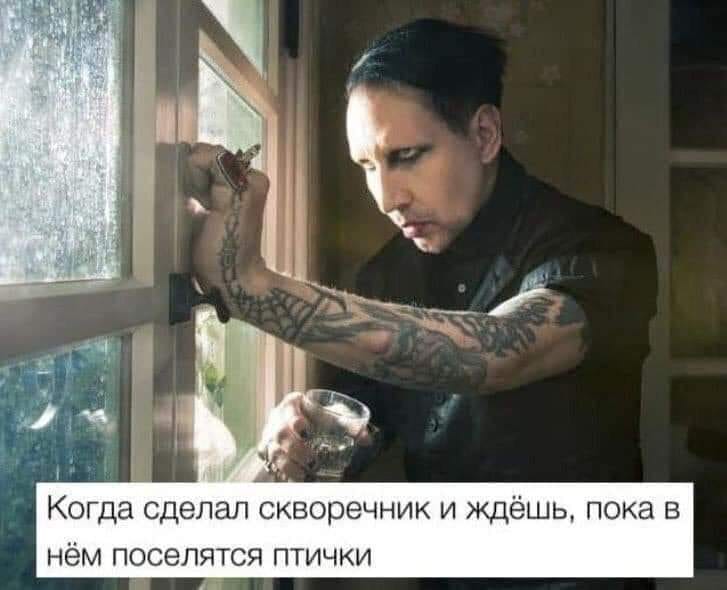 Когда сделал скворечник и ждёшь, пока в нём поселятся птички