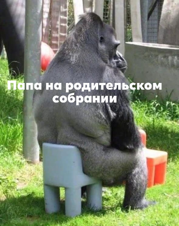 лапа на родительском собрании