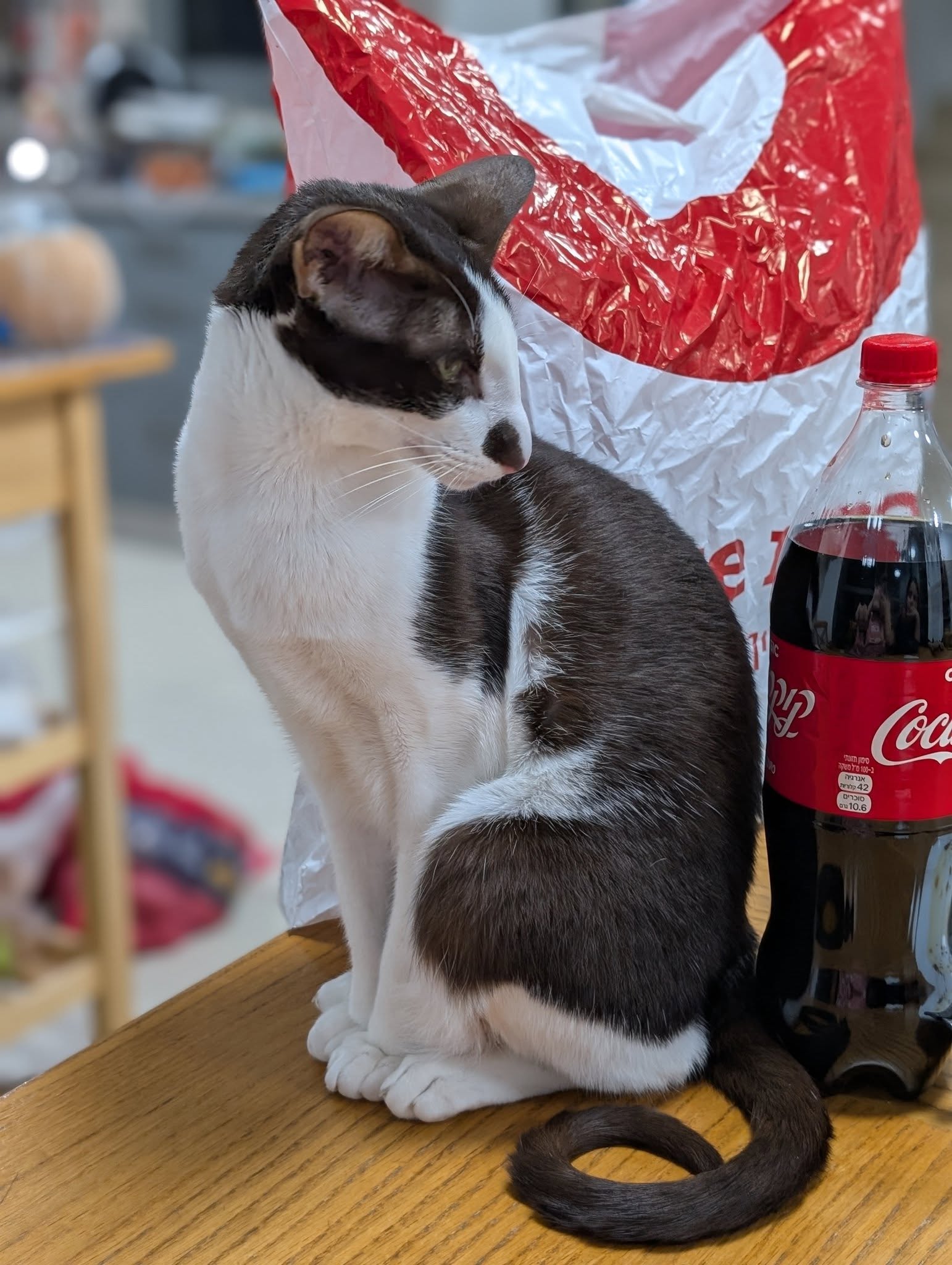 Tom foo 10 42 0310.6