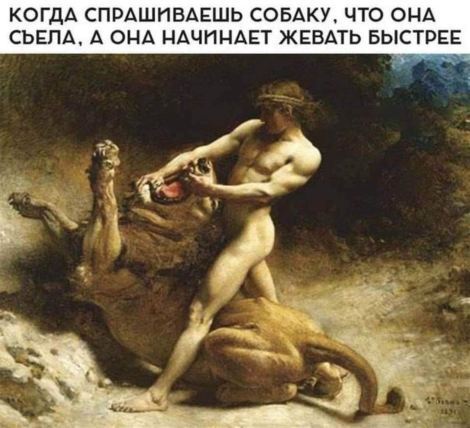 КОГДА СПРАШИВАЕШЬ СОБАКУ, ЧТО ОНА СЪЕЛА, А ОНА НАЧИНАЕТ ЖЕВАТЬ БЫСТРЕЕ